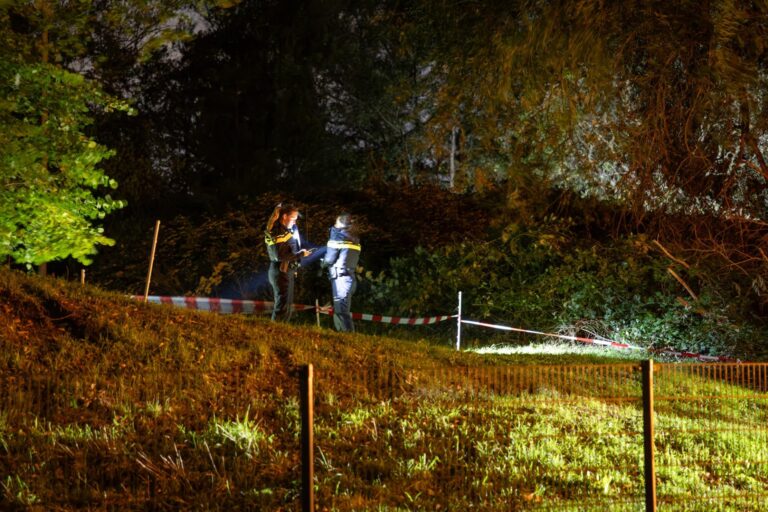Omgewaaide boom valt op fietser, hij overlijdt ter plekke