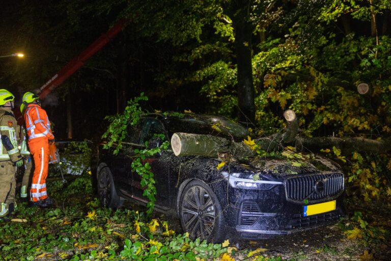 Boom valt op geparkeerde auto, flinke schade