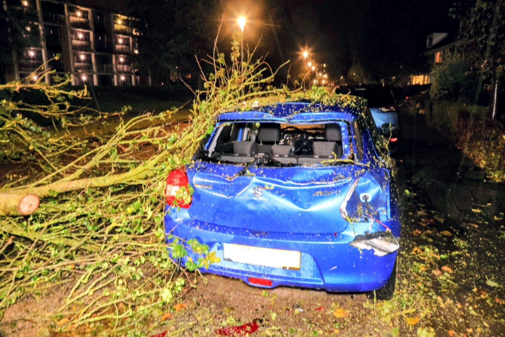 Boom valt op geparkeerde auto, voertuig total loss