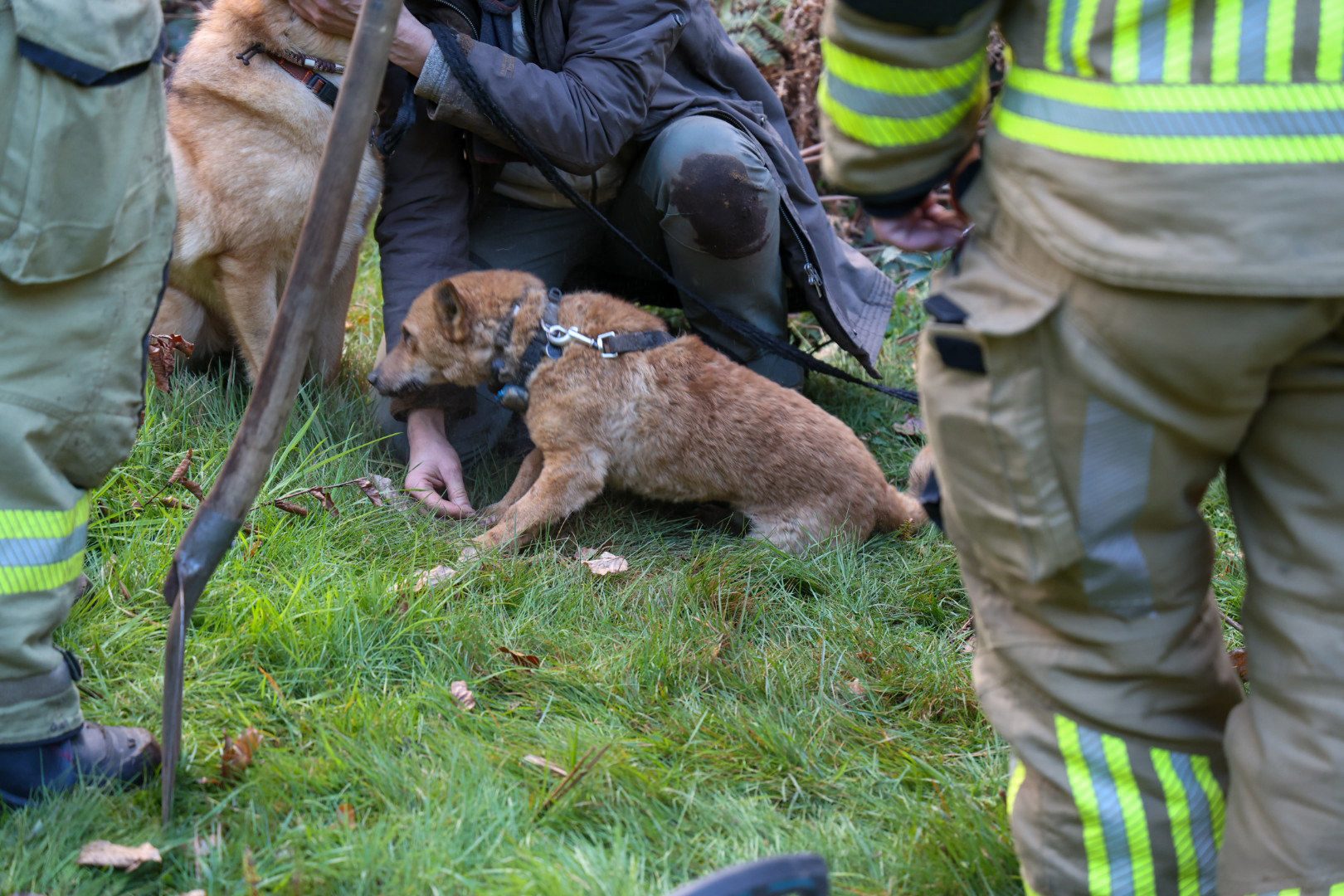 HEITINK_20261020_Brandweer_in_actie_voor_in_hol_verdwenen_hond_2 - 112 Nederland