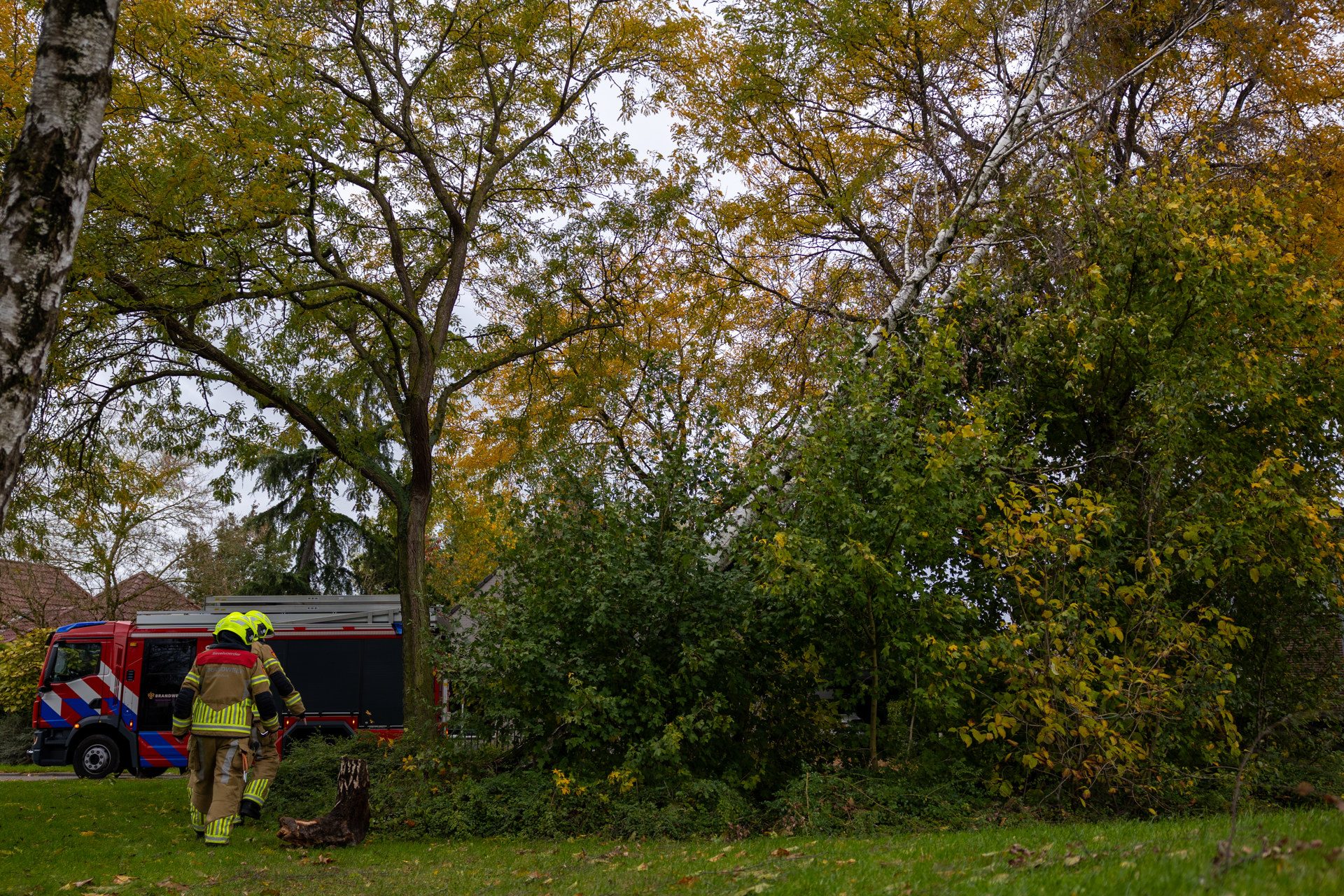 HEITINK_20261025_Brandweer_haalt_dreigende_boom_neer_op_Deciushof_in_Beuningen_1 - 112 Nederland