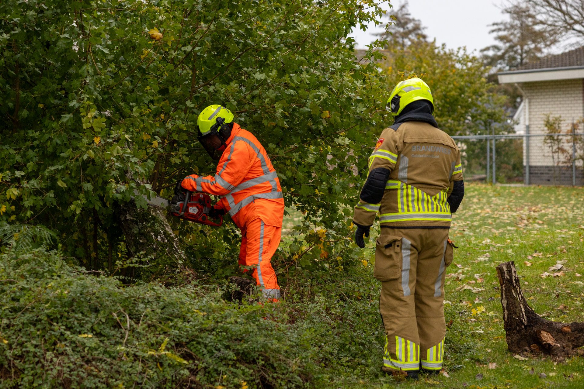 HEITINK_20261025_Brandweer_haalt_dreigende_boom_neer_op_Deciushof_in_Beuningen_5 - 112 Nederland