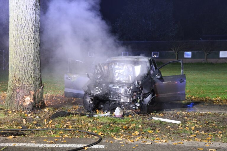 Auto frontaal tegen boom en in brand: bestuurder net op tijd gered