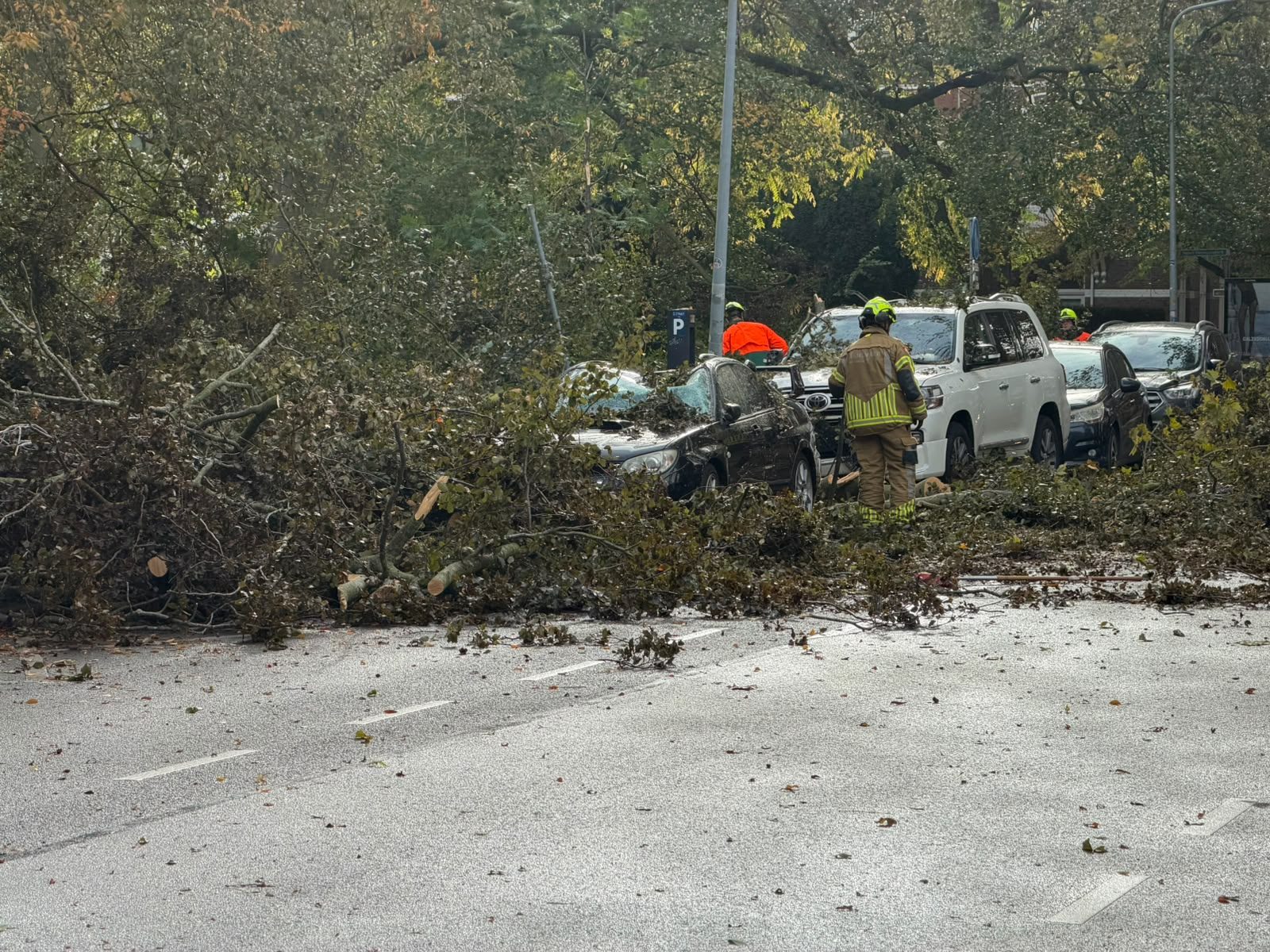 Omgevallen bomen raken vijf tot zes auto’s in park